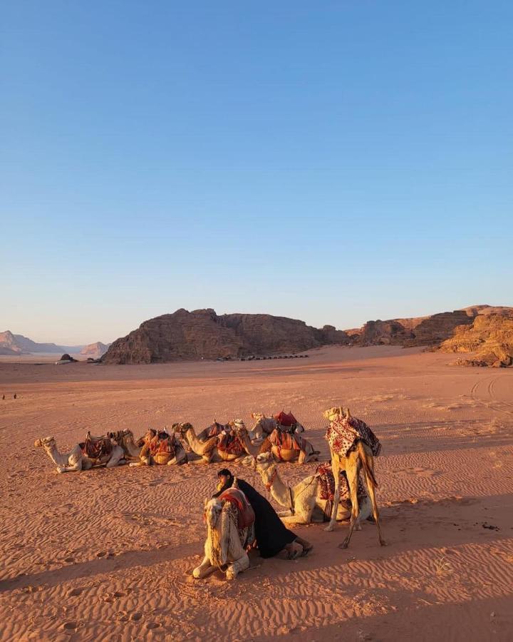 Wadi Rose Luxury Camp 5*