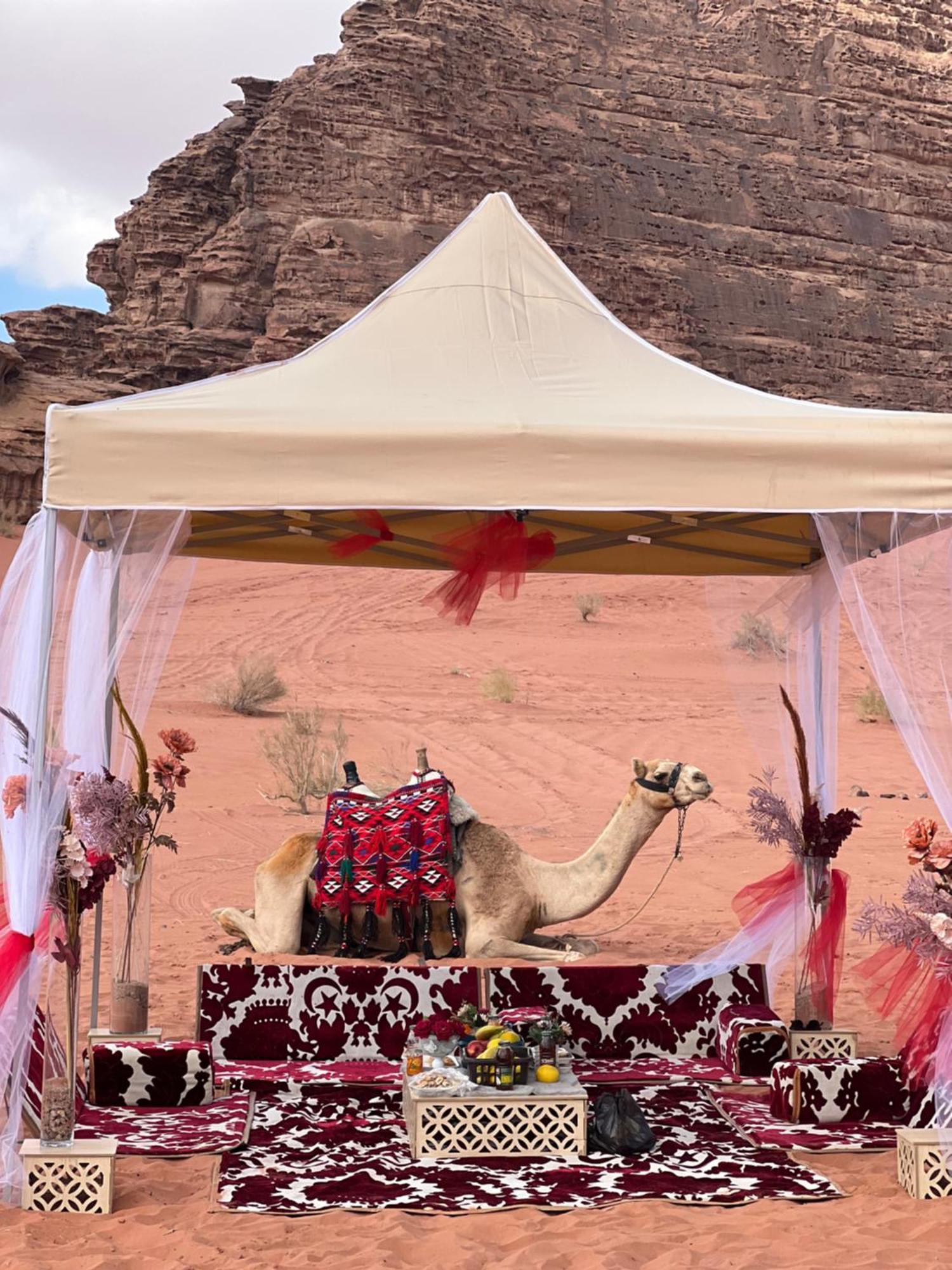 Luxuszelt Wadi Rose Luxury Camp