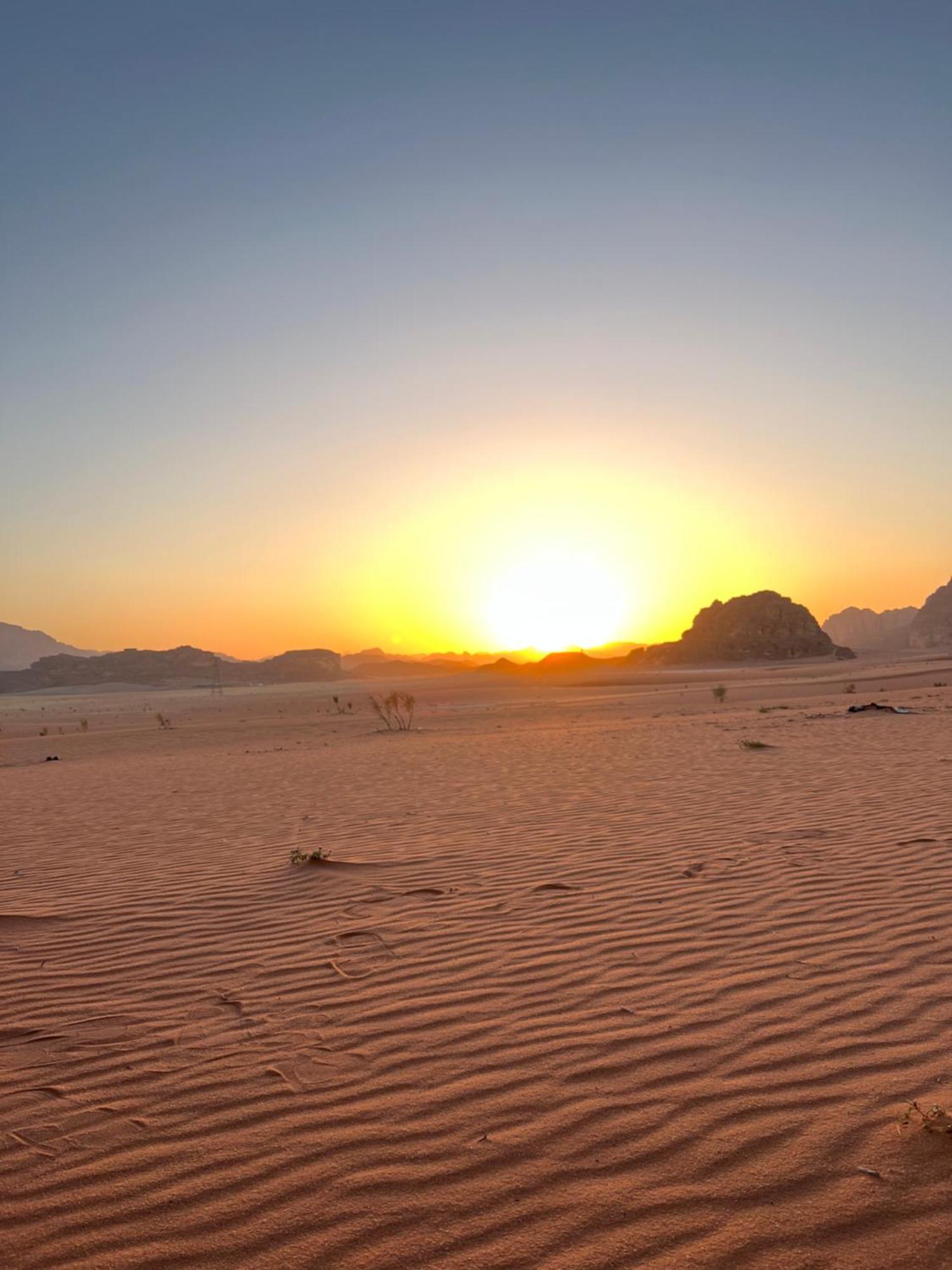 Luxuszelt Wadi Rose Luxury Camp 5*