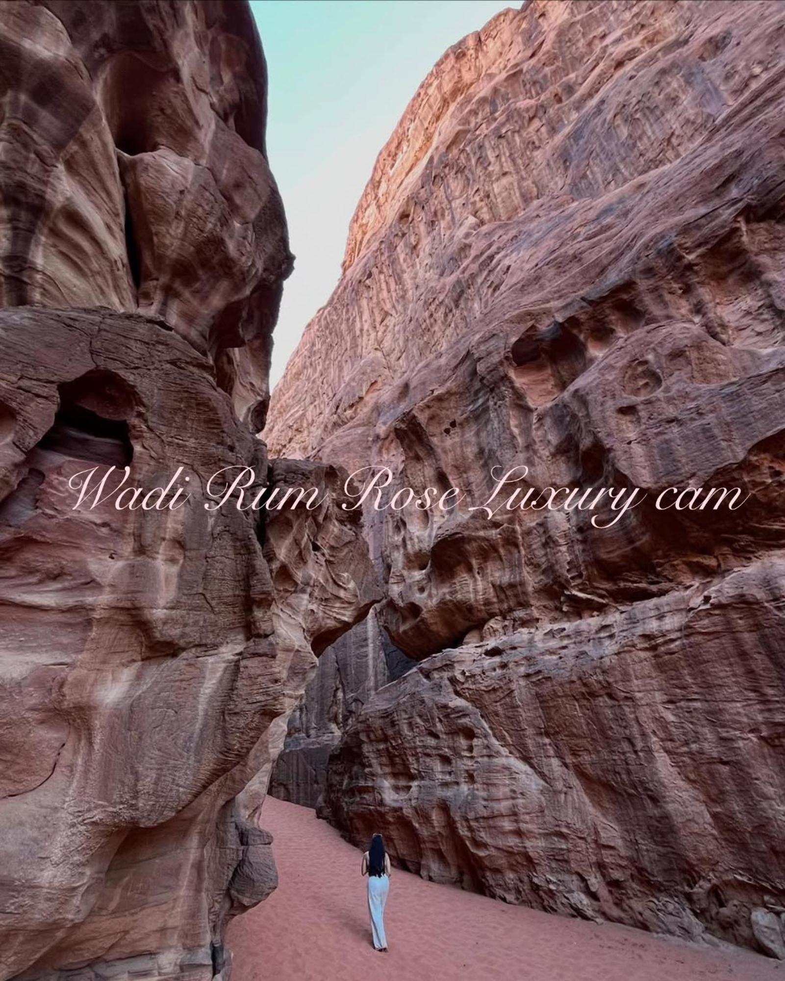 Luxury tent Wadi Rose Luxury Camp Wadi Rum