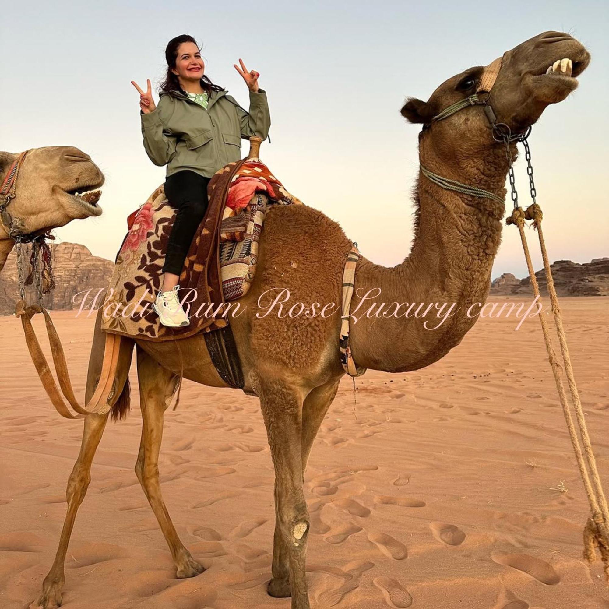 Wadi Rose Luxury Camp