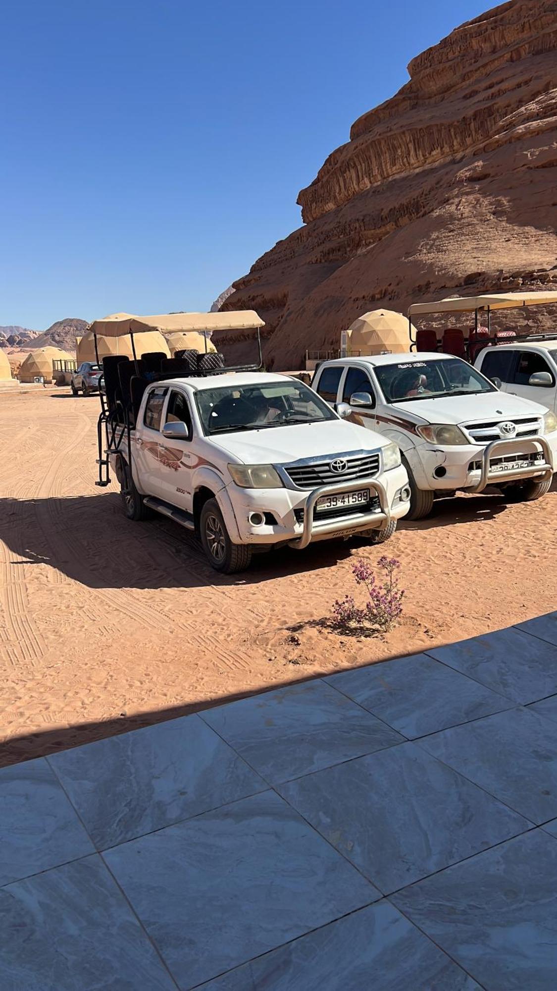 Wadi Rose Luxury Camp Wadi Rum