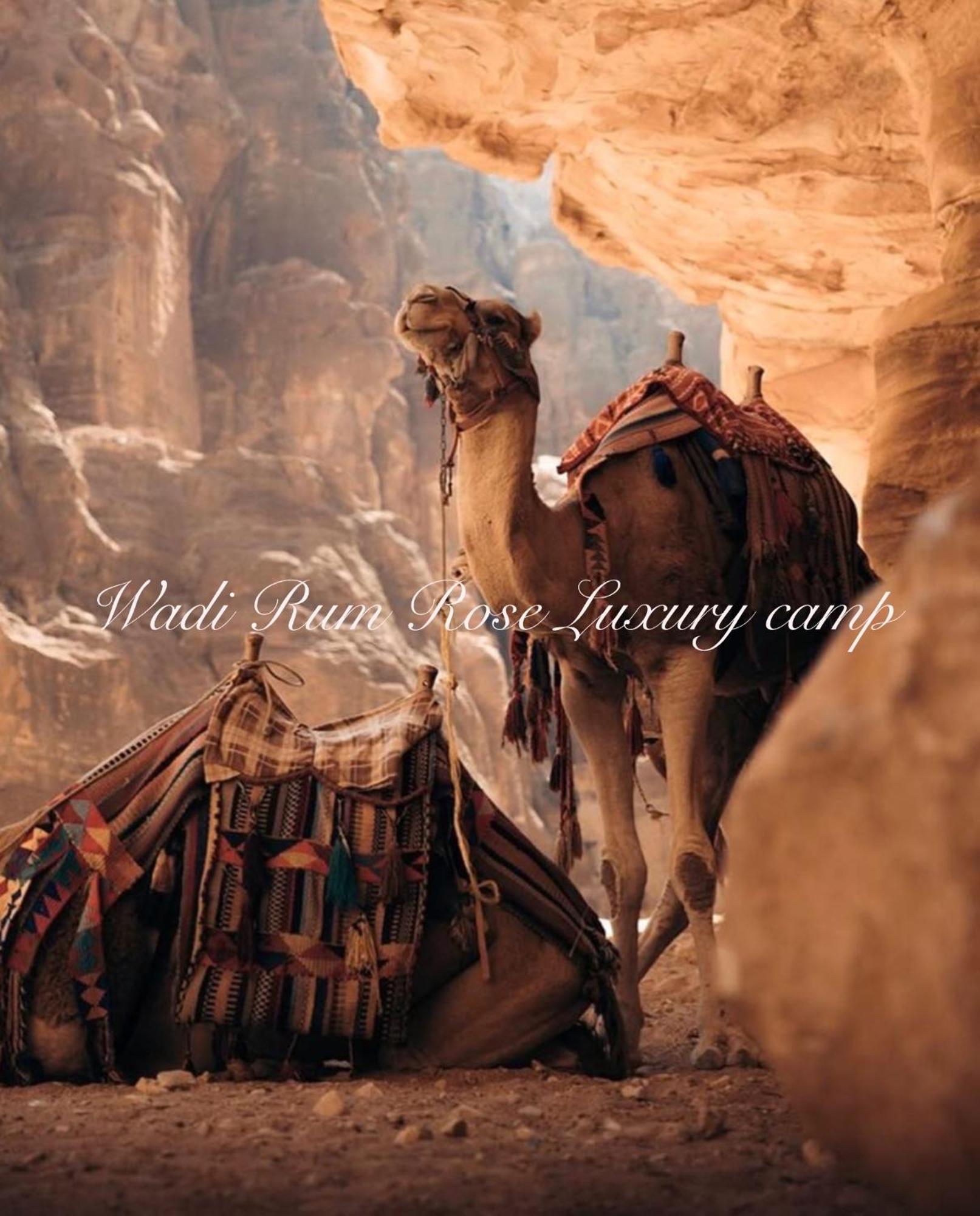 Wadi Rose Luxury Camp 5*